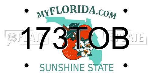 173TOB Florida License Plate
