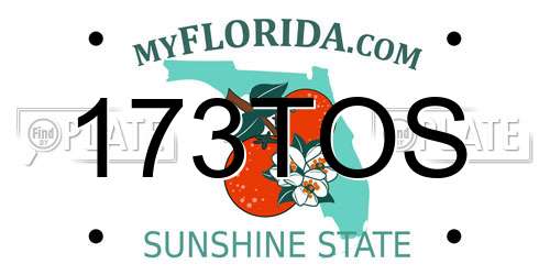 173TOS Florida License Plate