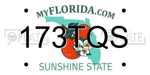 173TQS Florida License Plate