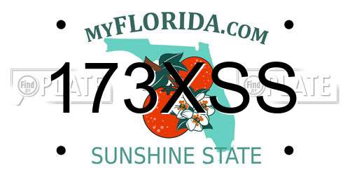 173XSS Florida License Plate