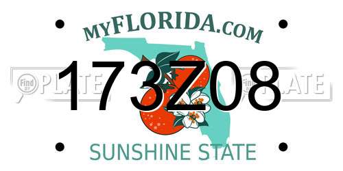 173Z08 Florida License Plate