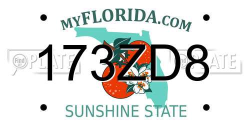 173ZD8 Florida License Plate