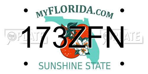 173ZFN Florida License Plate