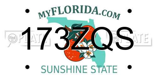 173ZQS Florida License Plate