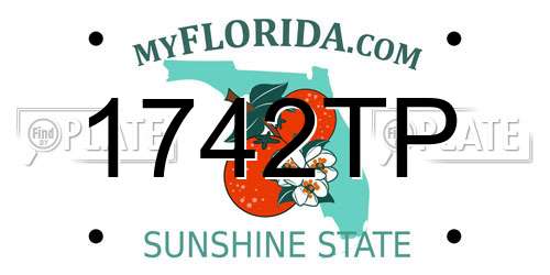 1742TP Florida License Plate