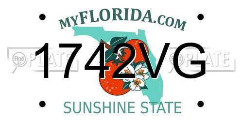1742VG Florida License Plate
