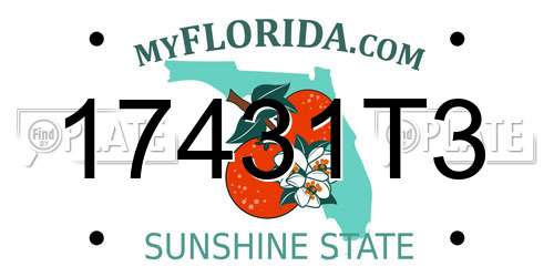 17431T3 Florida License Plate