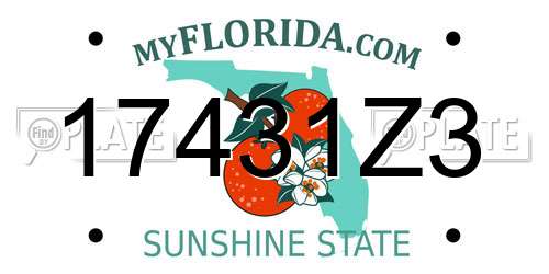 17431Z3 Florida License Plate