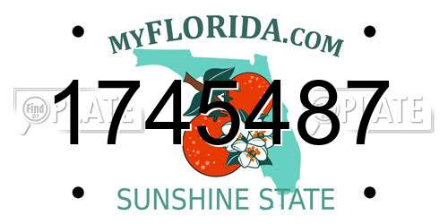 1745487 Florida License Plate