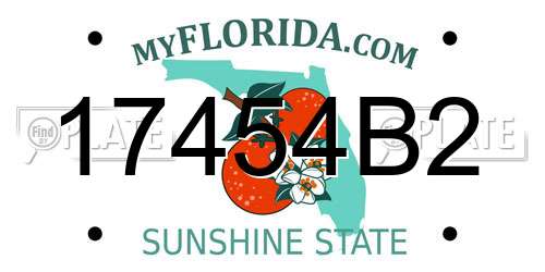17454B2 Florida License Plate