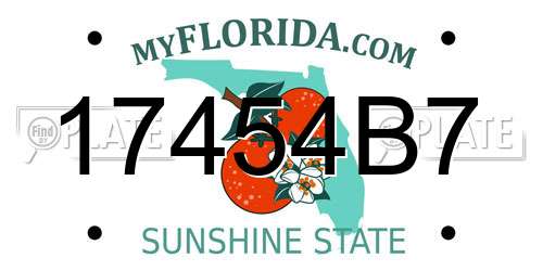 17454B7 Florida License Plate