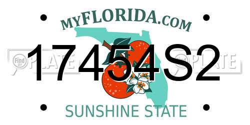 17454S2 Florida License Plate