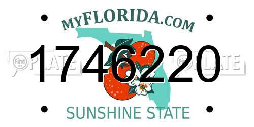 1746220 Florida License Plate