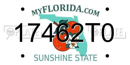 17462T0 Florida License Plate