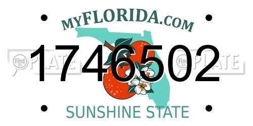1746502 Florida License Plate