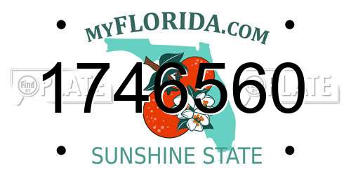 1746560 Florida License Plate