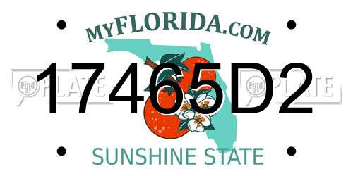 17465D2 Florida License Plate