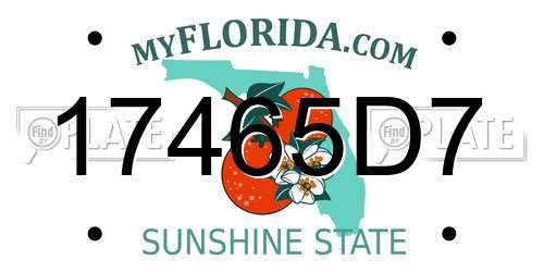 17465D7 Florida License Plate