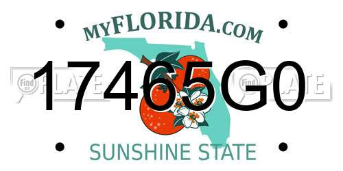 17465G0 Florida License Plate