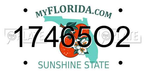 17465O2 Florida License Plate