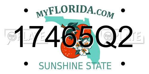 17465Q2 Florida License Plate
