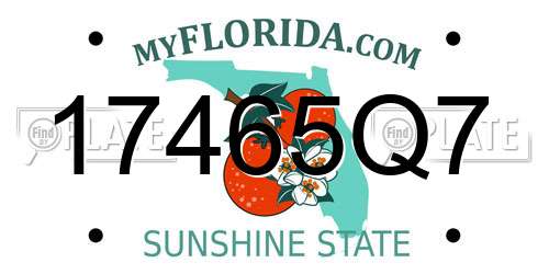 17465Q7 Florida License Plate
