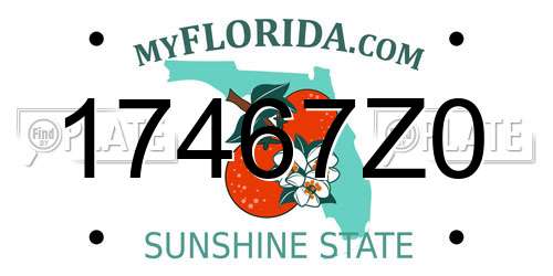17467Z0 Florida License Plate