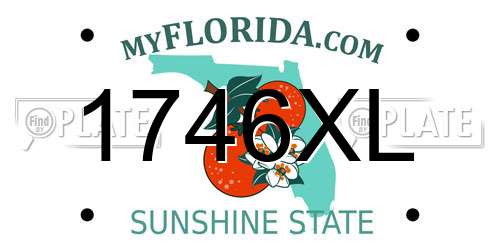 1746XL Florida License Plate