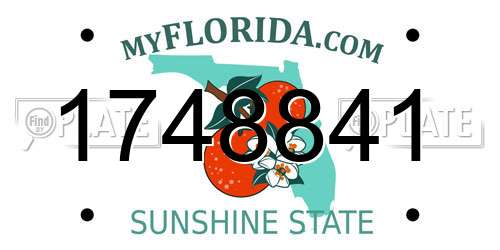 1748841 Florida License Plate