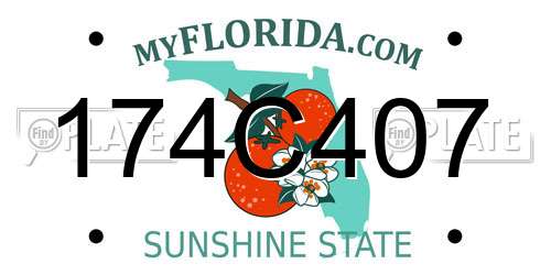 174C407 Florida License Plate