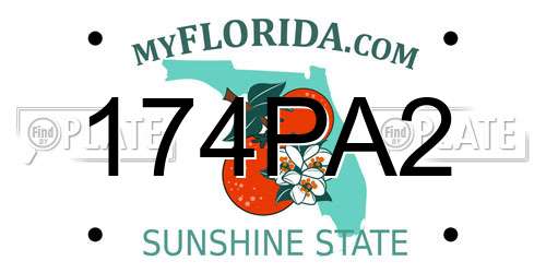 174PA2 Florida License Plate