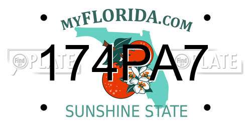 174PA7 Florida License Plate