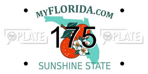 175 Florida License Plate