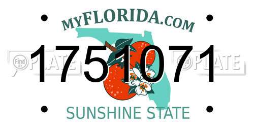 1751071 Florida License Plate