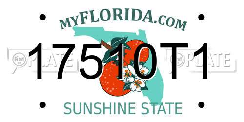 17510T1 Florida License Plate