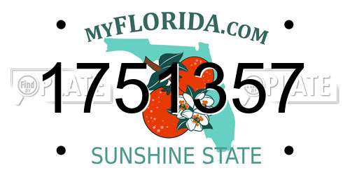 1751357 Florida License Plate