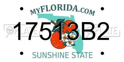 17513B2 Florida License Plate