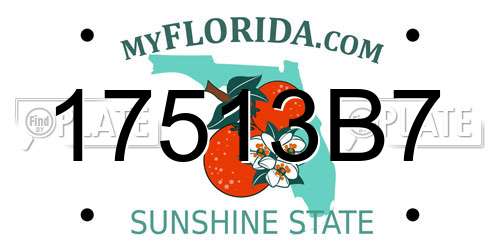 17513B7 Florida License Plate