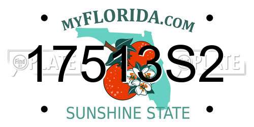 17513S2 Florida License Plate