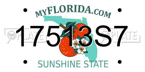 17513S7 Florida License Plate