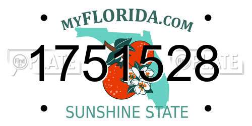 1751528 Florida License Plate
