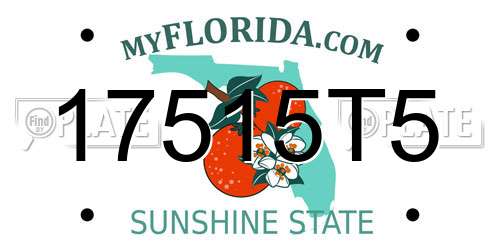 17515T5 Florida License Plate
