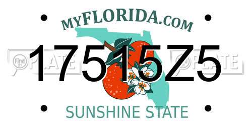 17515Z5 Florida License Plate