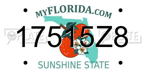 17515Z8 Florida License Plate
