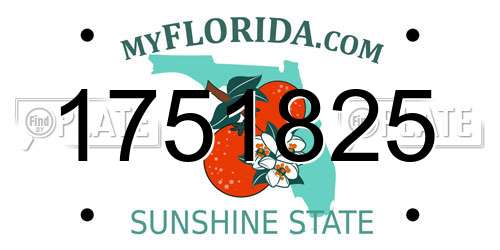 1751825 Florida License Plate