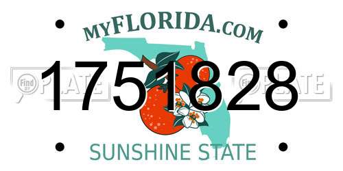 1751828 Florida License Plate