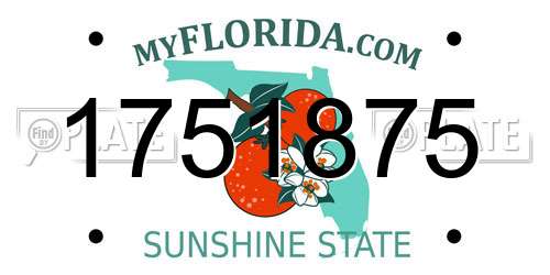 1751875 Florida License Plate