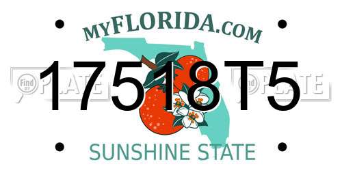 17518T5 Florida License Plate
