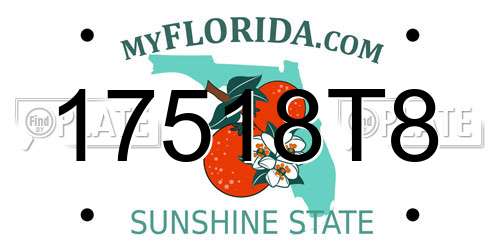 17518T8 Florida License Plate