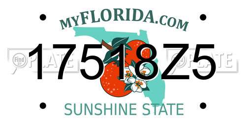 17518Z5 Florida License Plate